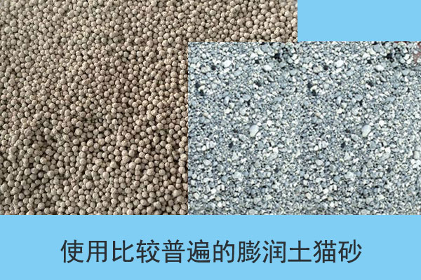 膨潤土貓砂是使用比較普遍的貓砂