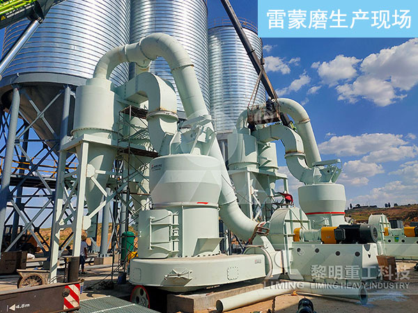 水鎂石雷蒙磨粉機廠家推薦黎明重工 水鎂石雷蒙磨粉機廠家推薦黎明重工