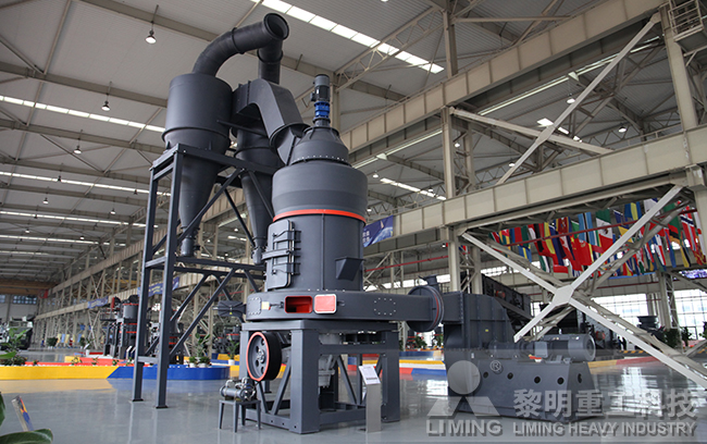 客戶來廠參觀 5X系列歐版智能磨粉機生產線